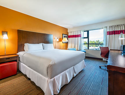 Traditional King Room — Grand Park Vancouver Airport Hotel